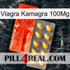 Viagra Kamagra 100Mg new01